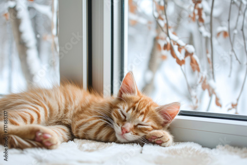 Ginger kitten sleeps peacefully on a plush white blanket by a plastic PVC window, a cozy and warm indoor scene contrasting with the winter landscape outside, cold weather winter insulation concept.