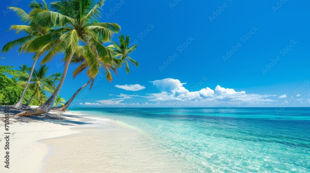 Tropical beach with white sand, palm trees, and crystal clear water under a bright blue sky background.