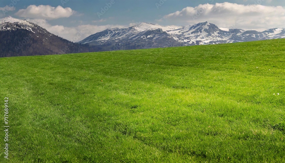 Green meadow with grass on the background of snow-capped mountain peaks in spring.