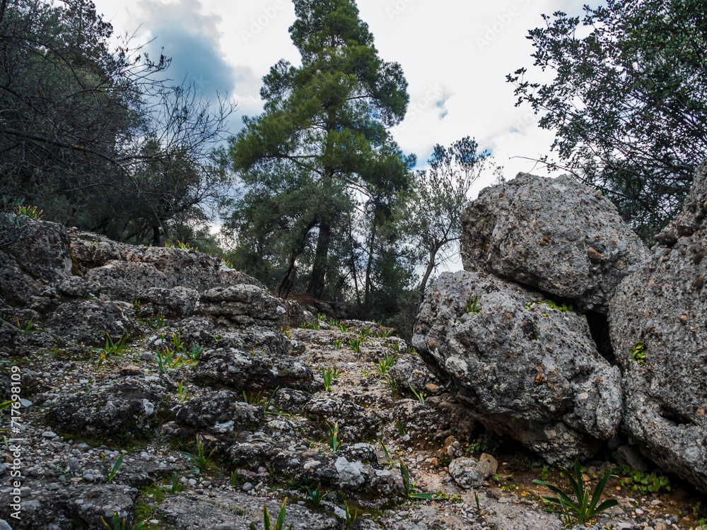 View of the path up the mountains among huge boulders. Mountain landscape without people, forest in the background. Texture of stones. Hiking concept