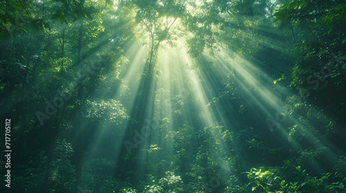 Sunlight streaming through a dense forest canopy, dappled, mysterious, green, lush, atmospheric. Mirrorless, wide-angle lens, afternoon, atmospheric