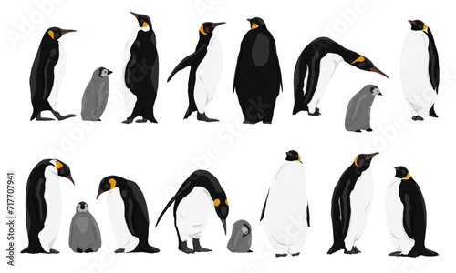 Collection of emperor penguins and their chicks. Emperor penguins Aptenodytes forsteri walk and stand. Realistic vector endemic animals of Antarctica photo