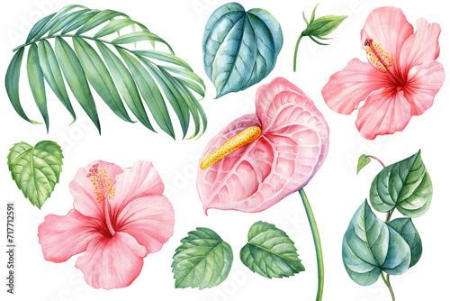 Palm leaf green plant, hibiscus flower, anthurium isolated background, watercolor clipart, floral design elements set