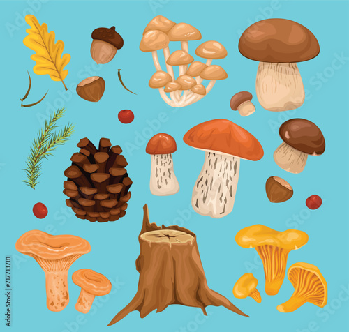 one set of mushroom icon illustrations