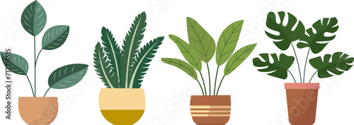 indoor plants in pots in flat style, vector