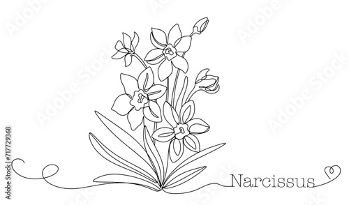 Bouquet of daffodils. One line. Flower. Spring.