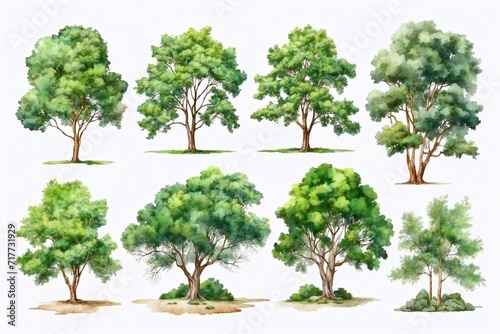 collection of detailed trees in oil painting style, white background, isolated trees for cards, book illustrations