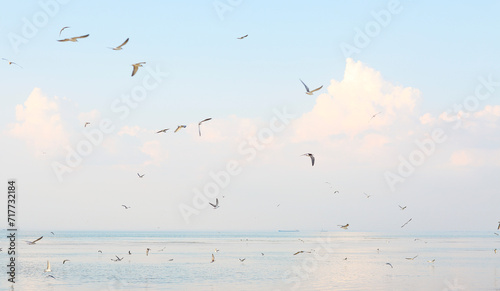 Morning sea view with sea gull white clouds and blue sky