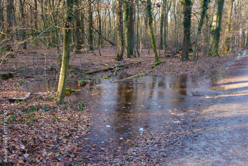 Graben mit Wasser im Wald, Kurler Busch, Dortmund, Ruhrgebiet, Nordrhein-Westfalen, Deutschland, Europa