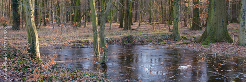 Graben mit Wasser und Eisschicht im Wald, Kurler Busch, Dortmund, Ruhrgebiet, Nordrhein-Westfalen, Deutschland, Europa
