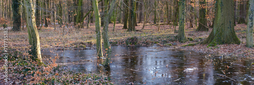 Graben mit Wasser und Eisschicht im Wald  Kurler Busch  Dortmund  Ruhrgebiet  Nordrhein-Westfalen  Deutschland  Europa