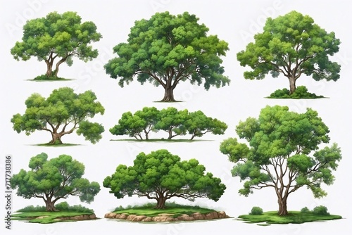 collection of detailed oil painted green trees on white backdrop  isolated trees for cards  book illustrations