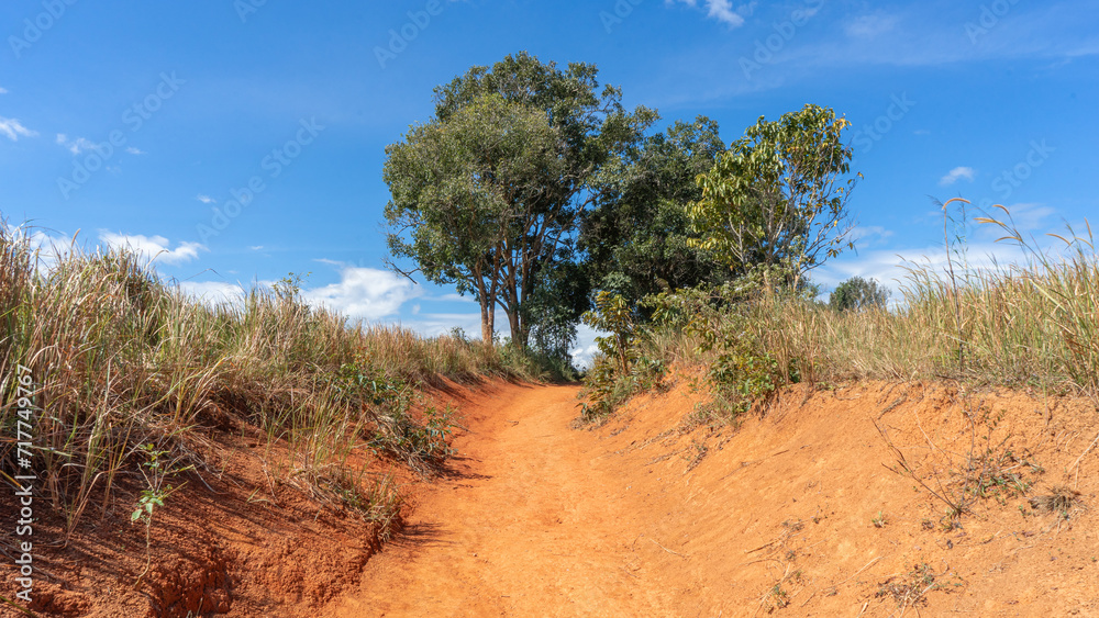 Location photos red clay slope There are patches of green grass and dry grass growing up. The sun is bright, the sky is clear, white clouds hang low, and there are plenty of large trees. Natural atmos