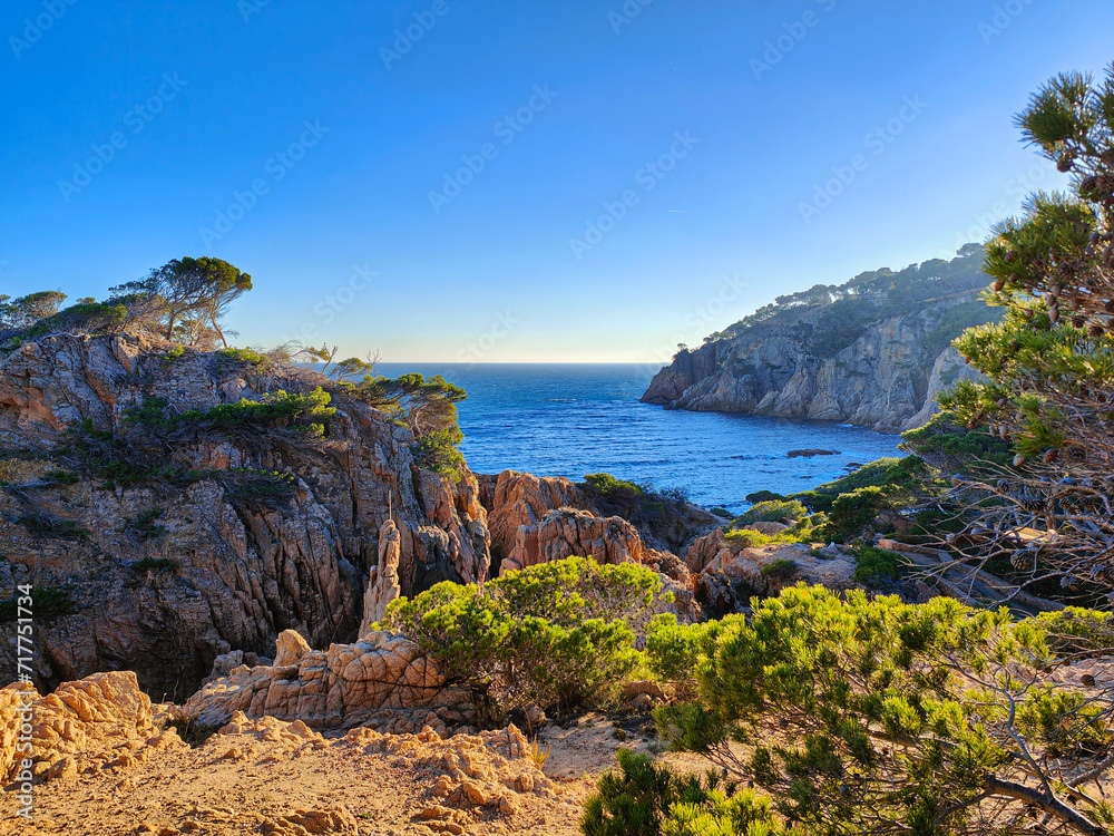 Beautiful sunny coast of Cala Aigua Xelida, Tamariu.  Rocky shore, cliffs, blue water, green pine trees. Costa Brava, Begur, Girona, Catalonia, Spain