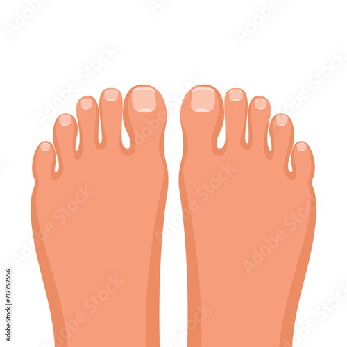 Toes with nails. Closeup toes on a white background. Healthy feet concept. Beautiful female feet with a pedicure. Vector illustration flat design. Isolated on white background.
