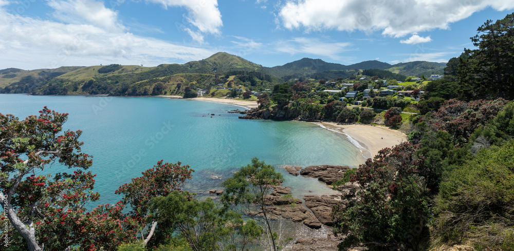 Beach coastline of Amodeo Bay, Coromandel, Coromandel Peninsula, New Zealand.