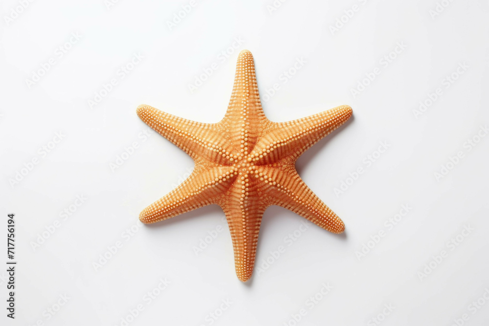 one of the starfish is on white background one of the starfish is on white background
