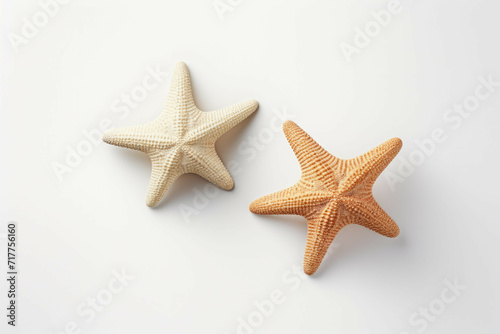 two starfish on a white background