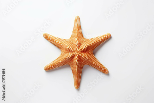 one of the starfish is on white background