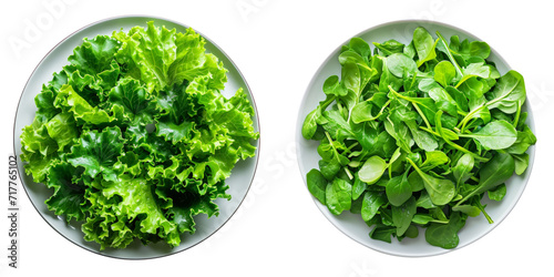 Green Leafy Salad Plates Set Isolated on Transparent or White Background, PNG