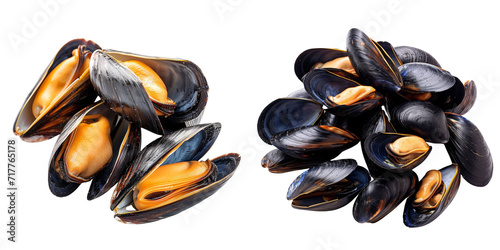 Fresh Mussel Set Isolated on Transparent or White Background, PNG
