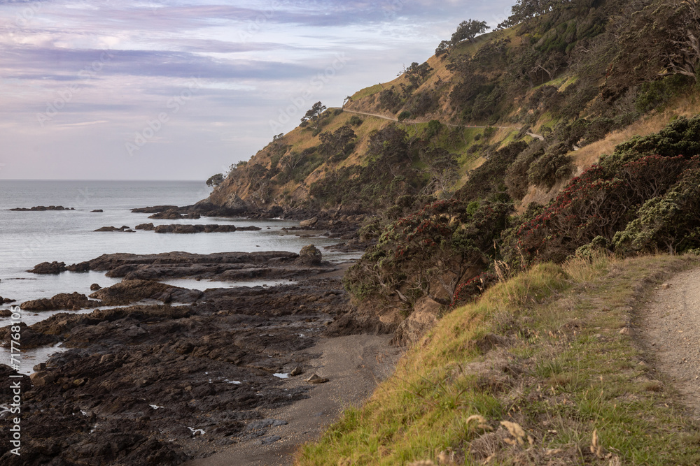 Rocky coastline of Port Jackson, Coromandel Peninsula, New Zealand.