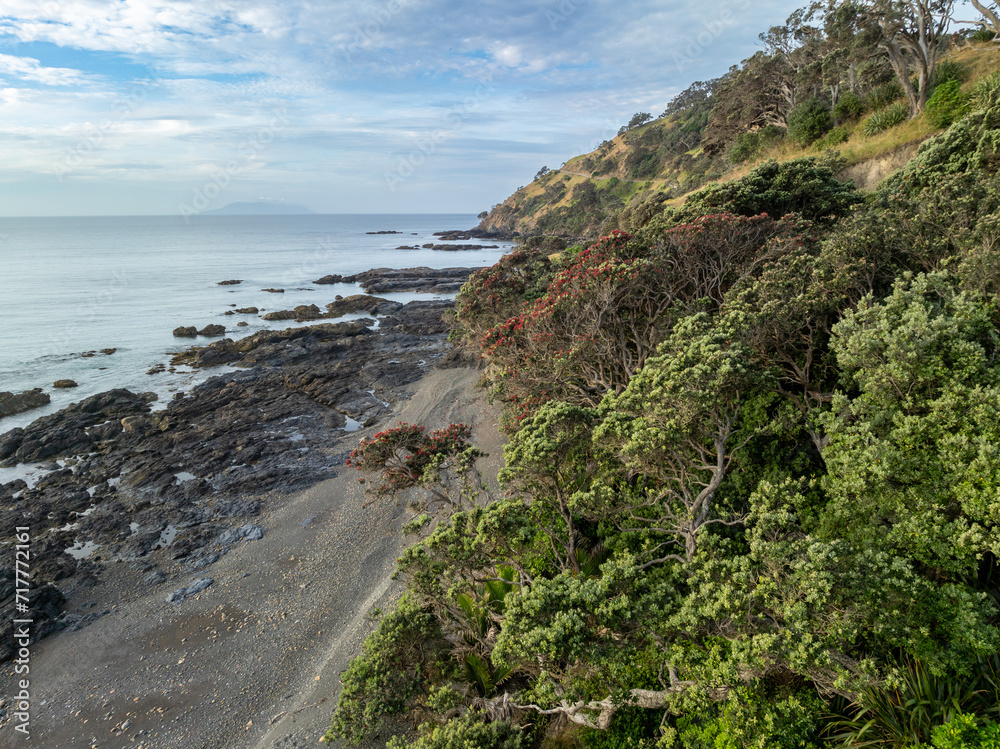 Rocky coastline and ocean in Port Jackson, Coromandel, Coromandel Peninsula, New Zealand. Rocky coastline and ocean in Port Jackson, Coromandel, Coromandel Peninsula, New Zealand.