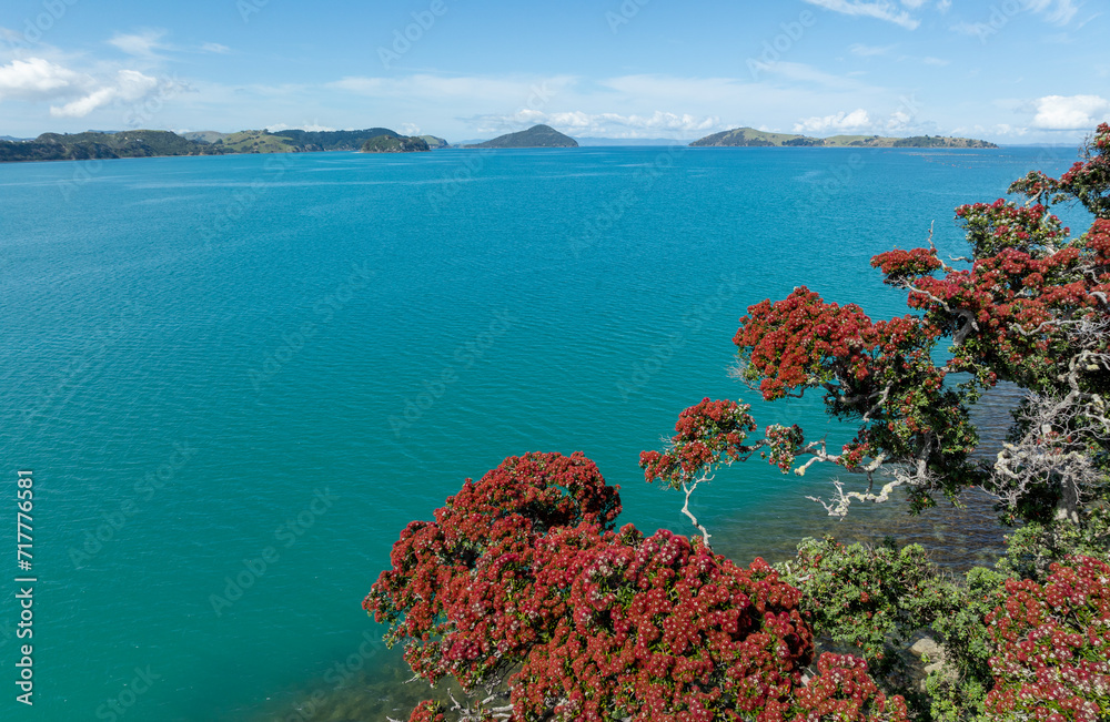 Aerial: Flowering pohutukawa  trees and turquoise water. Coromandel, Coromandel Peninsula, New Zealand.