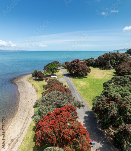 Aerial: Flowering Pohutukawa trees and beach coastline in Waiomu, near Thames, Coromandel Peninsula, New Zealand. photo