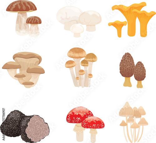one set of mushroom icon illustrations