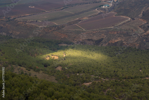 Sunlit Clearing in Forest Overlooking Agricultural Fields