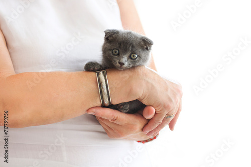 Young woman hold british kittin in her hands photo