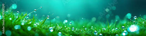 water drops on green grass background designed graphic blur background