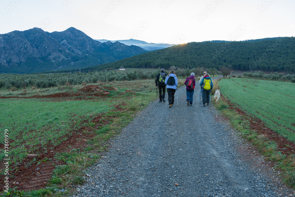 Group Trekking on Rural Path at Dusk