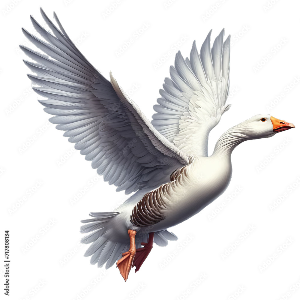 Obraz premium Flying White Goose isolated on transparent or white background, PNG