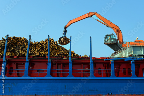 Stammholzverladung im Hafen von Danzig