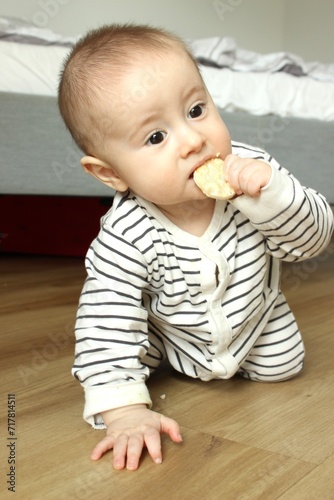 Little baby boy crawls and eats on the go biting cookies