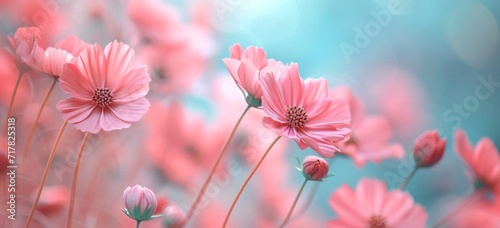 the flowers are pink and have a blur background © olegganko