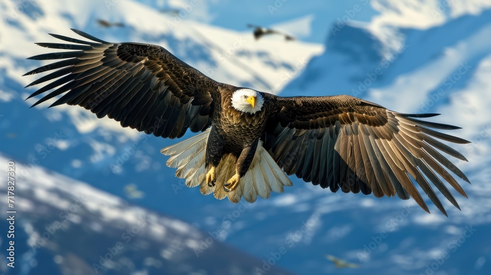 American bald eagles spread their wings wide to fly high. American bald eagles spread their wings wide to fly high.