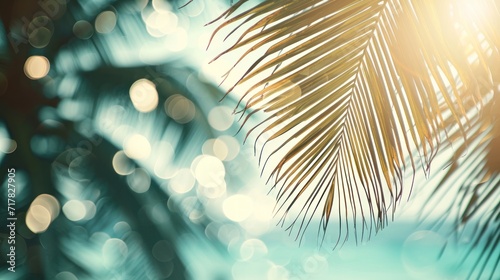 Beautiful nature blurred green palm leaves on a tropical beach with bokeh light of the sun.