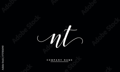 NT  TN  N  T Abstract Letters Logo Monogram