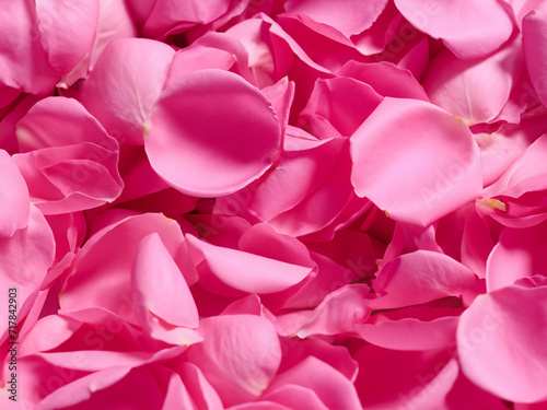 pink rose petals background