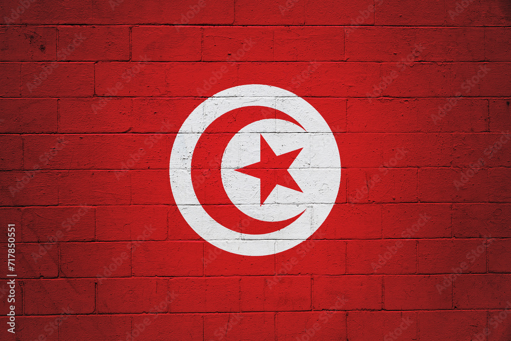 Tunisian flag painted on a wall Tunisian flag painted on a wall