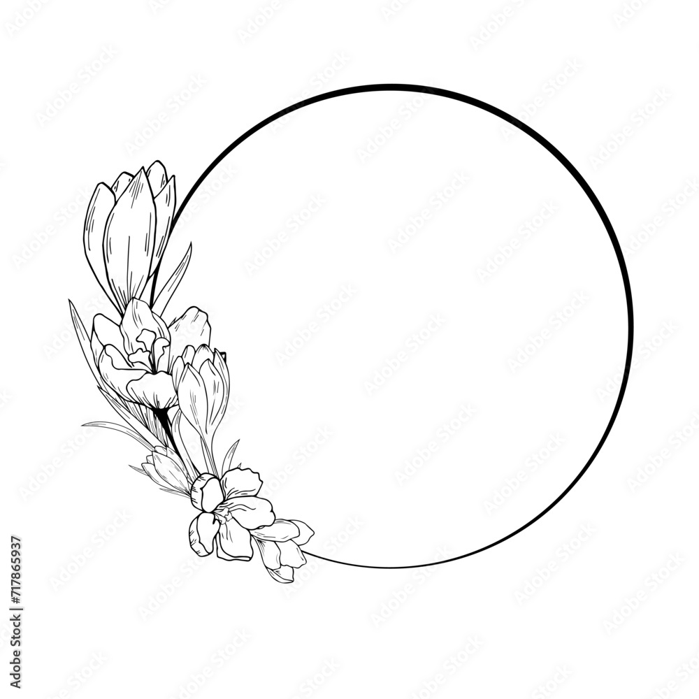 Crocus flowers, saffron. The frame is round, gold color. Hand drawing, outline drawing, engraving. For the background of invitations, cards, prints, etc Crocus flowers, saffron. The frame is round, gold color. Hand drawing, outline drawing, engraving. For the background of invitations, cards, prints, etc
