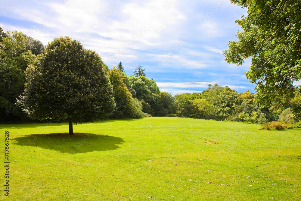 Fototapeta premium Picnic area with green grass, trees and woodland on background - concept image with copy space