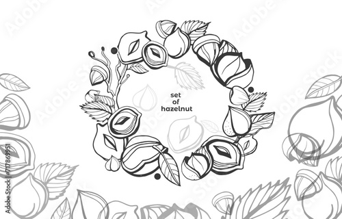 Isolated vector hazelnut on a white background. Colection. Vector collection of hand drawn nuts sketches. Vintage illustrations of hazelnut. Single seeds.  Organic nut. Detailed hand drawn hazelnuts.