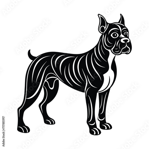 Boxer graphic vector EPS