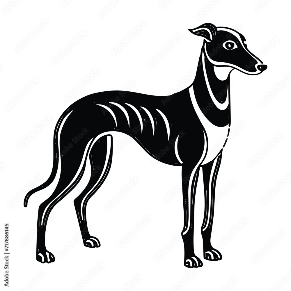 Whippet graphic vector EPS Whippet graphic vector EPS