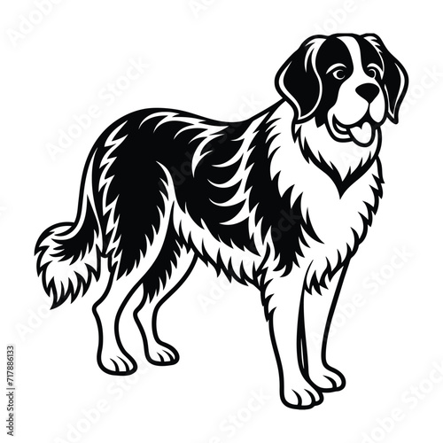 St.�Bernard graphic vector EPS © Alexandru