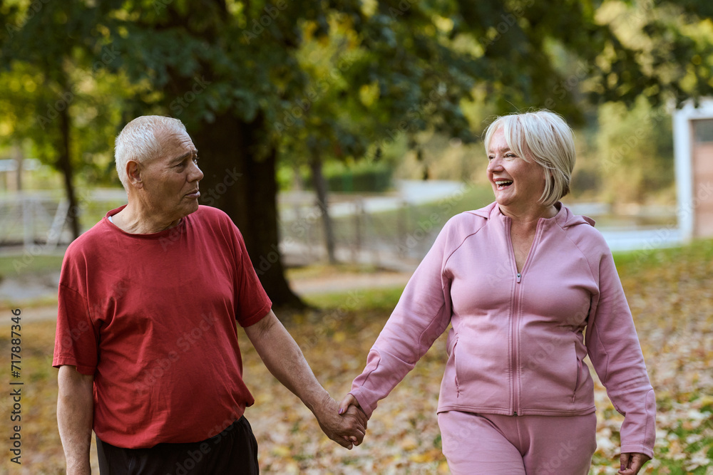 Elderly couple strolling through the breathtaking beauty of nature, maintaining their vitality and serenity, embracing the joys of a health-conscious and harmonious lifestyle